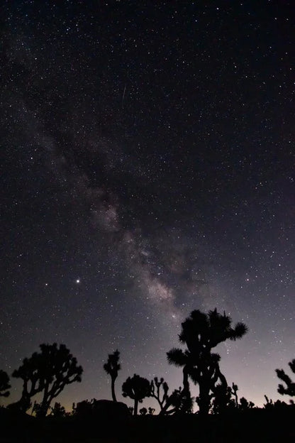 K&F Concept Nano-X Series Natural Night Filter (77mm)