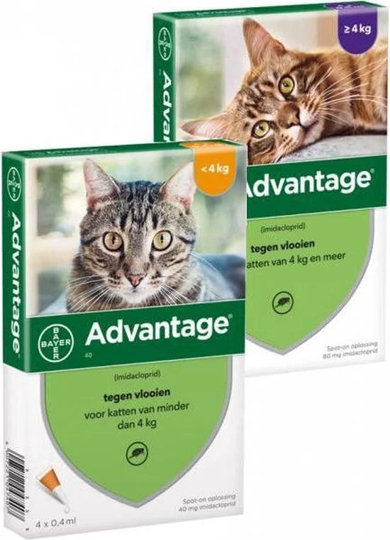 Bayer Anti vlooienmiddel Advantage 80 > 4 kg - 4 x 0,8 ml