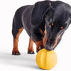 Fetch Ball - Stuiterende Hondenbal - Ideaal voor apporteren - Past in werpstok - Beco Pets - Oranje of Geel - Geel