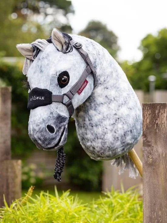 Hobby horse