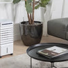 Dutch Originals Aircooler op Wielen - Luchtcooler 6 Liter - Mobiele Aircooler met 3 Snelheden - Met Ingebouwde Timer en Zelfdraaiende Functie - 65 W