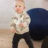 Noppies Sweater Garidech long sleeve allover print Jongens Trui - Maat 62